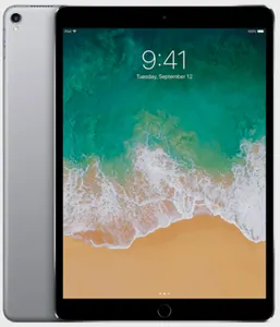 Ремонт iPad Pro 9.7' (2016) в Долгопрудном